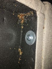 Bed Bug Control KC