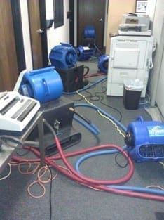Bed Bug Control KC